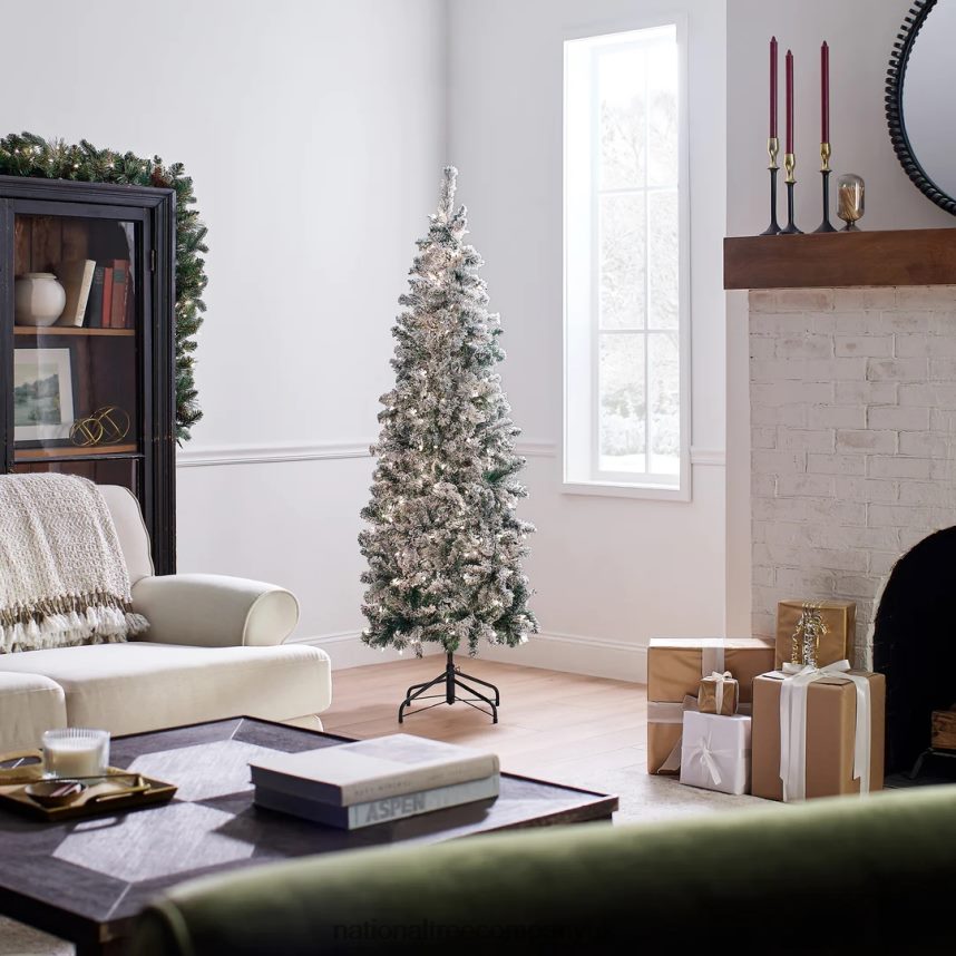 Trees | National Tree Company First Traditions Pre-Lit Acacia Flocked Tree Medium Christmas Tree Clear Incandescent Lights Plug In 6 ft F2L4F41